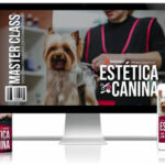 Estética Canina Curso Online