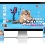 Peluquería Para Gatos Curso Online