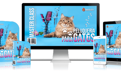 Peluquería Para Gatos Curso Online