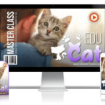 Educat Educación Sobre Gatos Curso Online