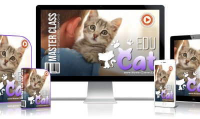 Educat Educación Sobre Gatos Curso Online
