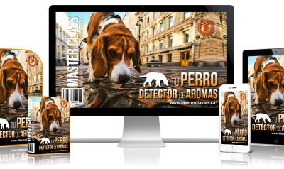 Tu Perro Detector de Aromas Curso Online