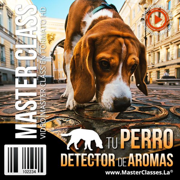 Tu Perro Detector de Aromas Curso Online