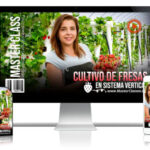 Cultivo de Fresas en Sistema Vertical Curso Online