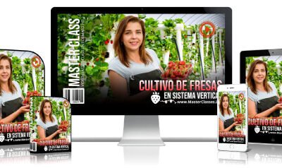 Cultivo de Fresas en Sistema Vertical Curso Online