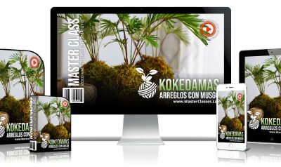 Kokedamas Arreglos con Musgos Curso Online