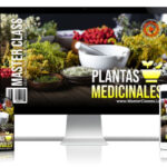 Plantas Medicinales Curso Online