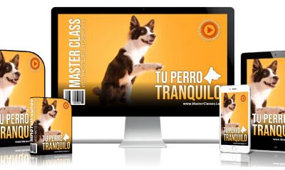Tu Perro Tranquilo Curso Online