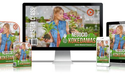 Como Crear Kokedamas Curso Online