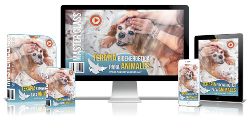 Terapia Bioenergética para Animales Curso Online