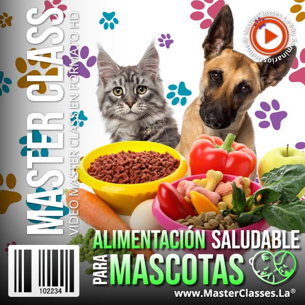 Alimentación Saludable para Mascotas Curso Online