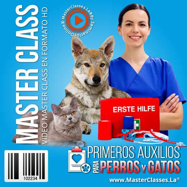 Primeros Auxilios Para Perros y Gatos Curso Online