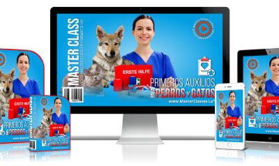 Primeros Auxilios Para Perros y Gatos Curso Online