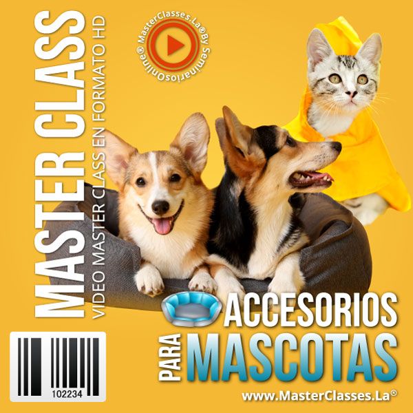 Crear Accesorios para Mascotas Curso Online