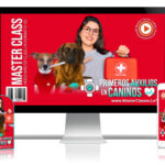 Primeros Auxilios en Caninos Curso Online