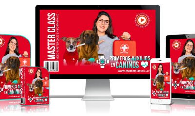 Primeros Auxilios en Caninos Curso Online