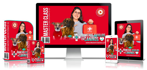 Primeros Auxilios en Caninos Curso Online