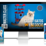 Casas para Gatos Curso Online