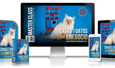 Casas para Gatos Curso Online