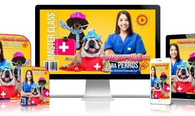 Primeros Auxilios para Perros Curso Online