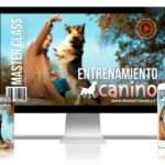 Entrenamiento Canino Curso Online