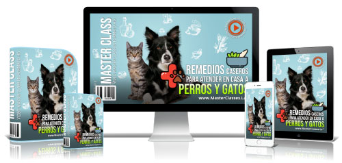 Remedios Caseros Para Perros y Gatos Curso Online