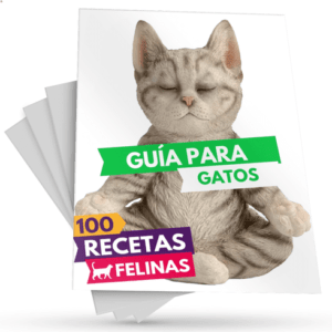 100 Receta Felinas