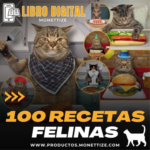 100 Receta Felinas Curso Online