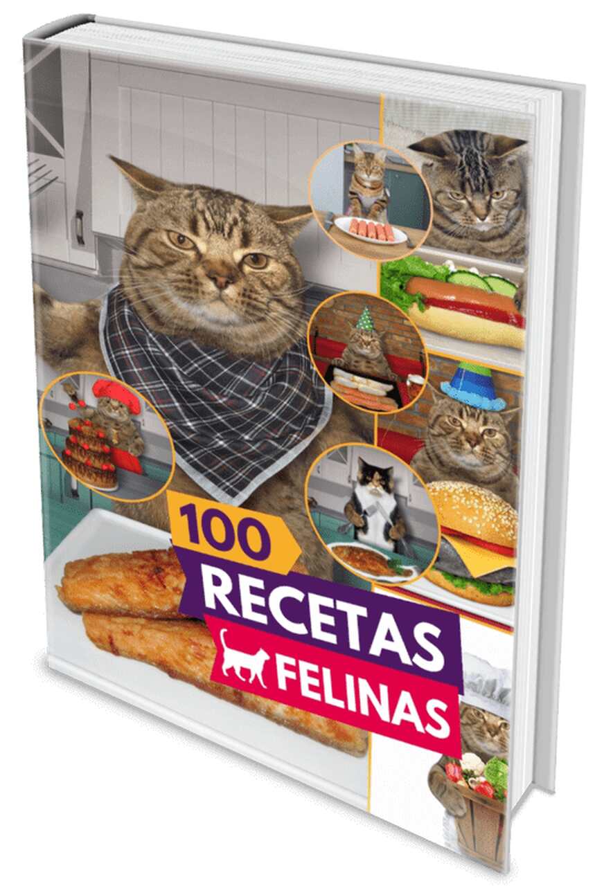 100 Receta Felinas Curso Online Curso Online