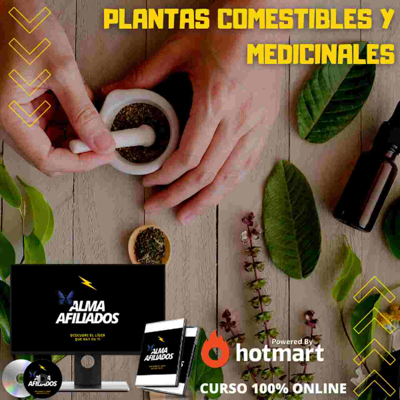 Plantas Comestibles y Medicinales Curso Online